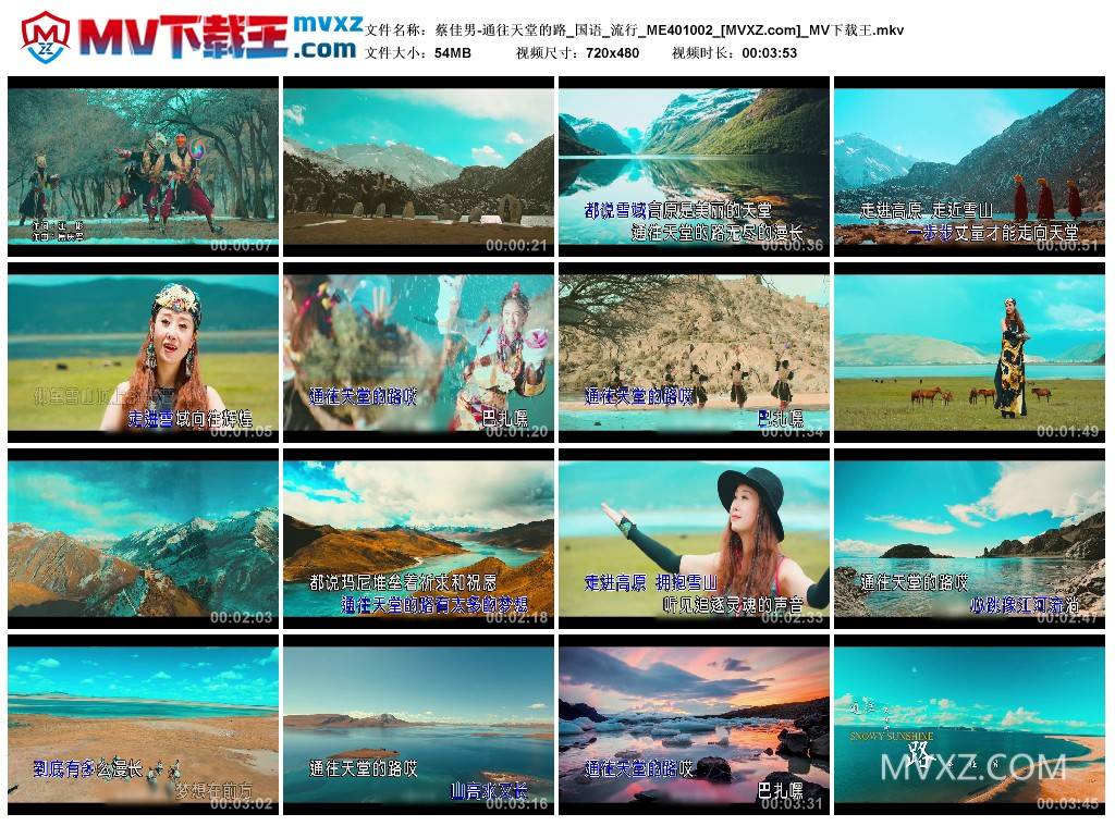 蔡佳男-通往天堂的路_国语_流行_ME401002